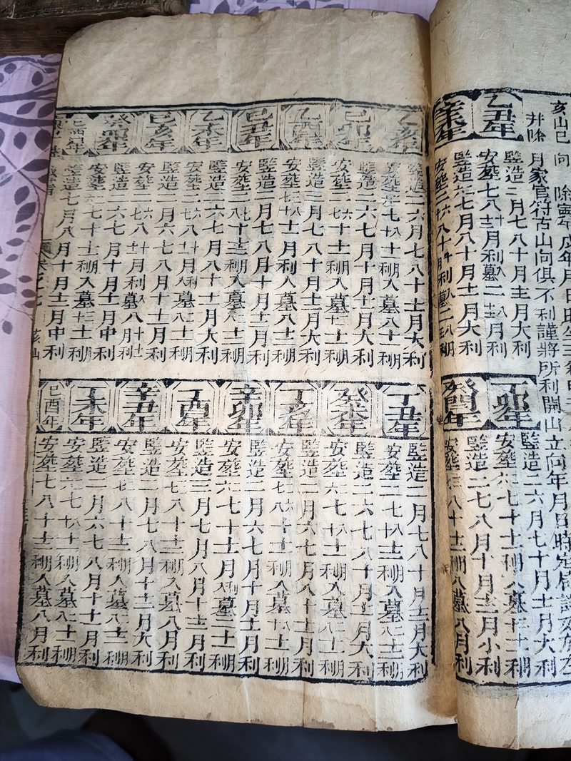 第020图原图