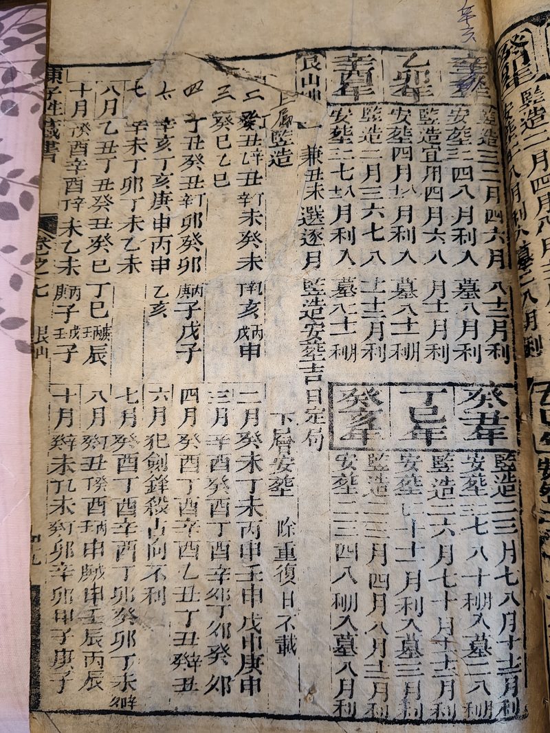 第038图原图
