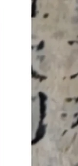z011bl_Q15.png