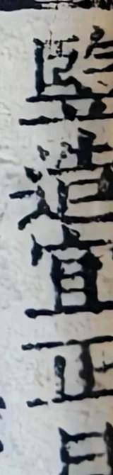 z014bl_Vd1top.png