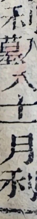 z016bl2_c8b.png