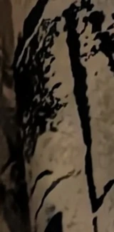 z018_8538910.png