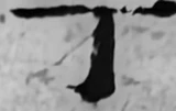 z018c24_g7ding.png