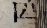 z021zb_883761935784.png