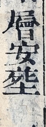 z022mt_7200555079007000_colLa.png