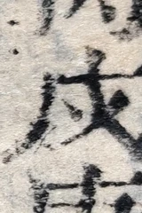 z026_67417550.png