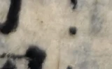 z026bl_299637100.png