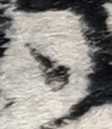 z026bl_70447347.png