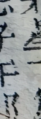 z029_945510068.png