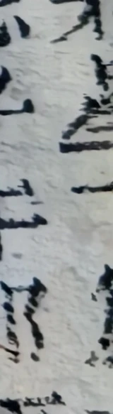 z029zb_945510070.png
