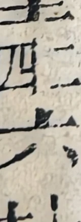 z031_21662675.png
