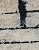 z031_64366839.png