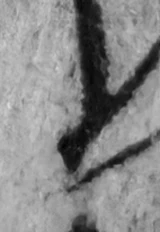 z033bl_g2_R1p10.png