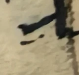 z042e_63747079.png