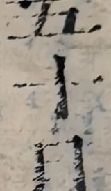 z054zb_54x782x258x838x330.png