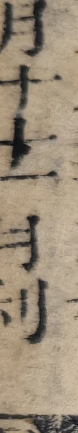 z060_13351753.png