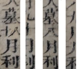 z067bl_tail_lo_c0-3.png