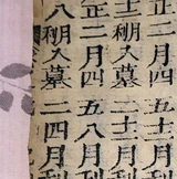 z069_19244846.png