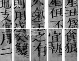 z081bl6_V_P56.png