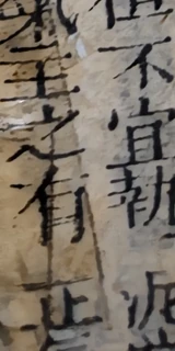 z081s_757989100.png