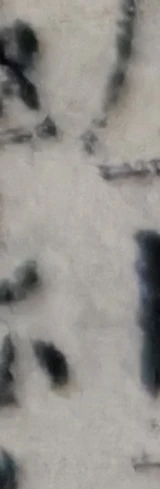z085y_92749582_G1gapR1R2.png