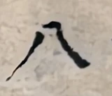 z088bl_75358039_N1aR10cmp.png