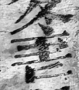 z096bl6_g556.png