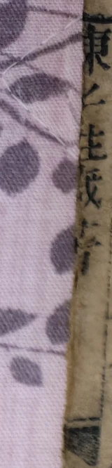 z099_551330.png