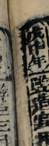 z099_90010022.png