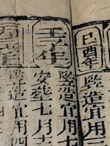 z108_76010024.png
