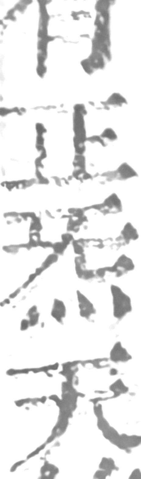 z029bl4_wR43.jpg