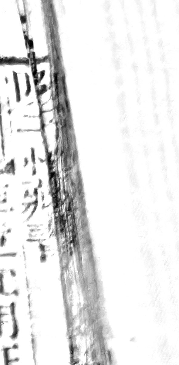 z091bl6_U_right.jpg